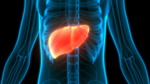 liver failure treatment in ayurveda